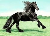 Friesian, Equine Art - Friesian Power